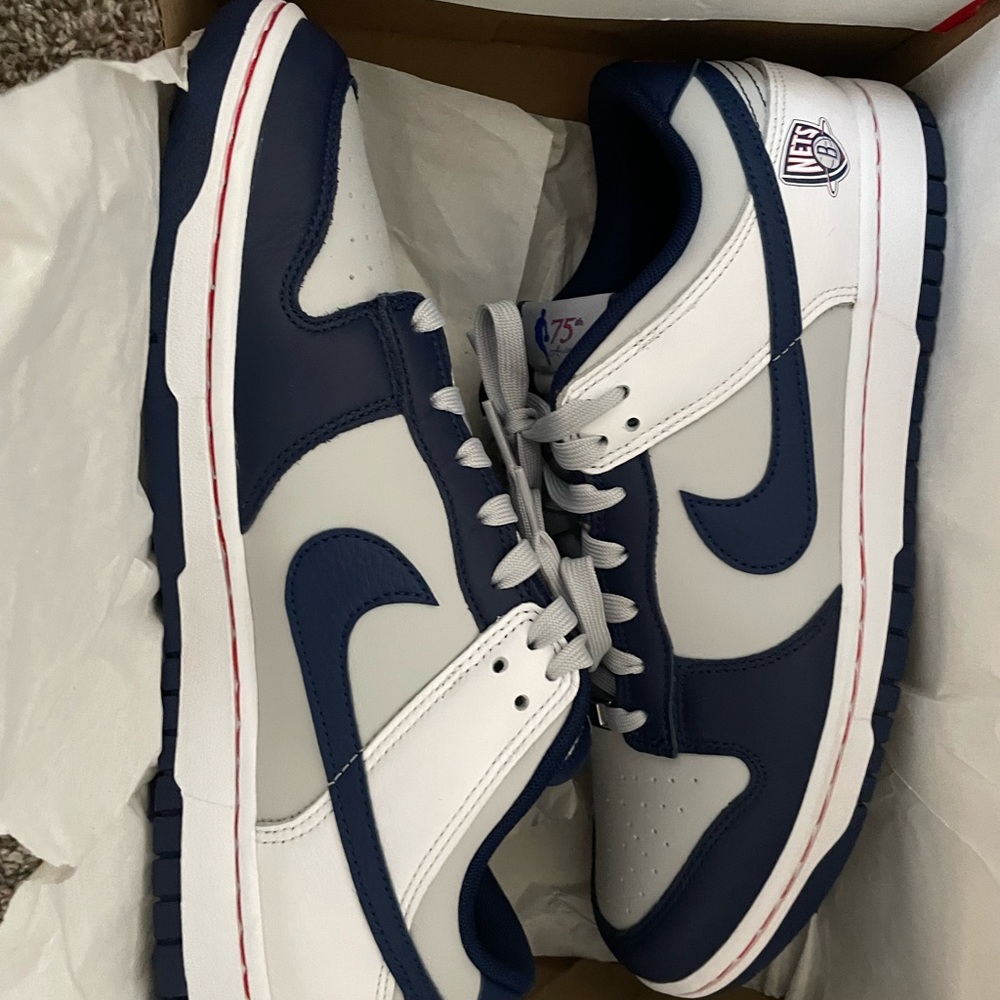 Dunk Low Nets 75 Anniversary